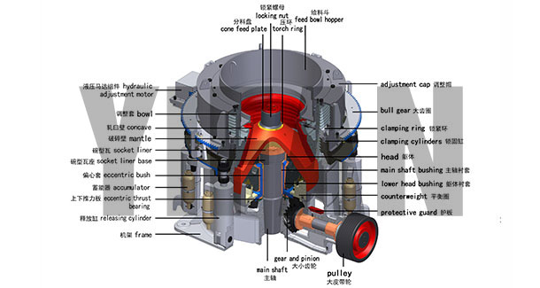 �A�F����C�Y���D